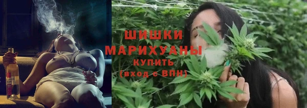 PSILOCYBIN Бугульма