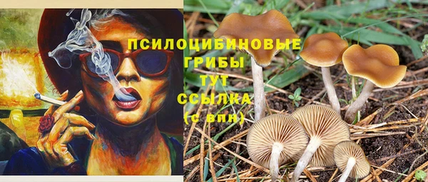 PSILOCYBIN Бугульма