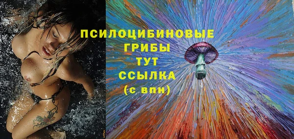 PSILOCYBIN Бугульма